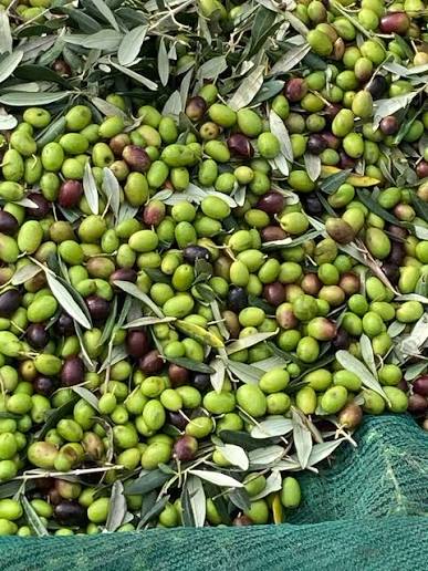 Olives
